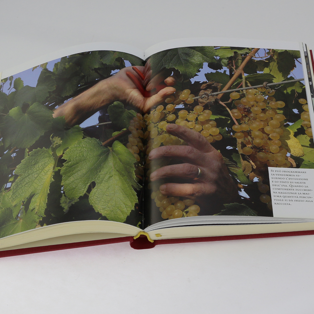 PUB-BTS002-Libro-Storia-e-Tecnica-Consorteria-Aceto-Balsamico-Tradizionale-di-Modena-DOP PUB-BTS002-Libro-Storia-e-Tecnica-Consorteria-Aceto-Balsamico-Tradizionale-di-Modena-DOP