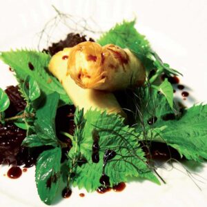 EL-Aceto-Balsamico-Tradizionale-di-Modena-DOP-Extravecchio-GELSOjpg-scaled-1.jpg