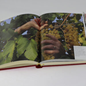 Manuale Il Balsamico della Tradizione Secolare - Thumbnail Image 3