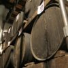 La Biossidazione Acetica dell'Aceto Balsamico Tradizionale