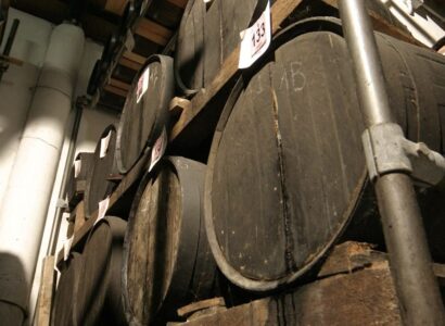 La Biossidazione Acetica dell'Aceto Balsamico Tradizionale