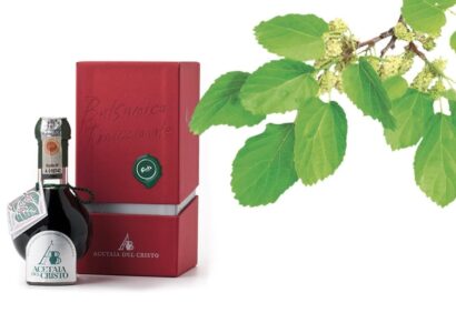 Il Gelso, dalla ricchezza della pianta all’aroma del suo legno