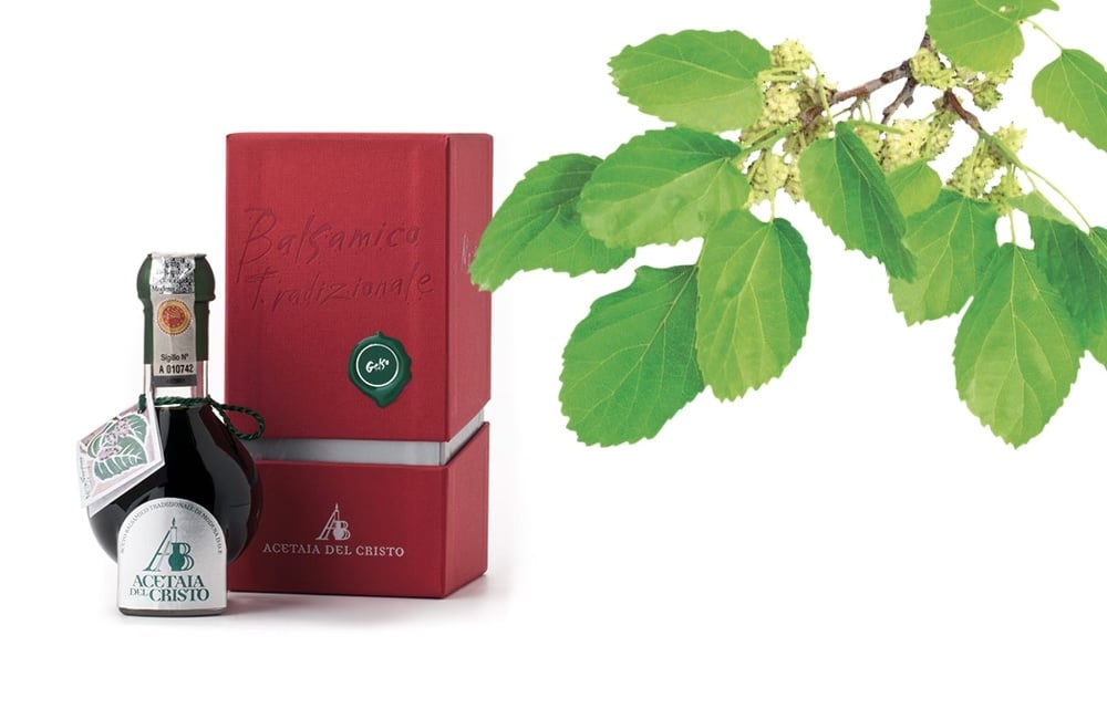 The Mulberry, from the richness of the plant to the aroma of its wood